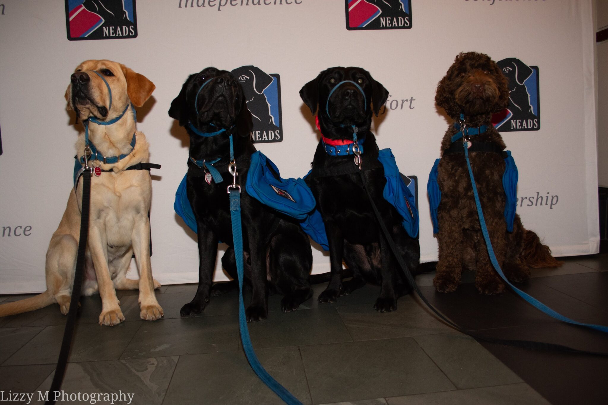NEADS Celebrates World Class Service Dogs with Gala on Boston’s Waterfront