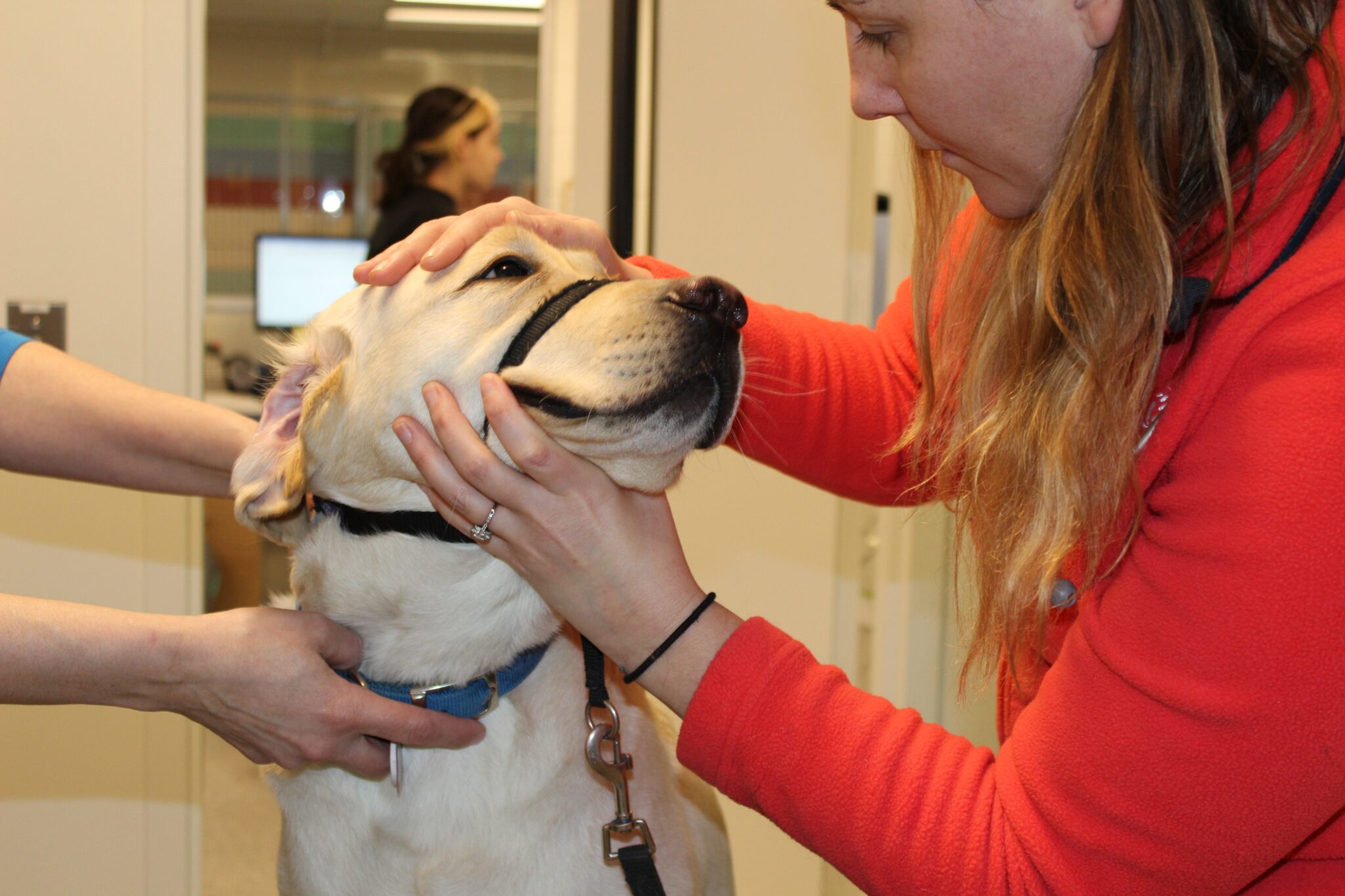 Year of the NEADS Dog Month 11 – Healthcare