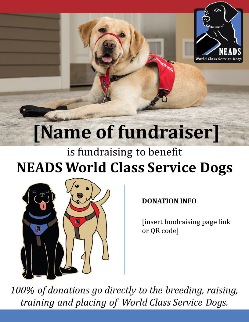 Flyer for Client Fundraising - no event