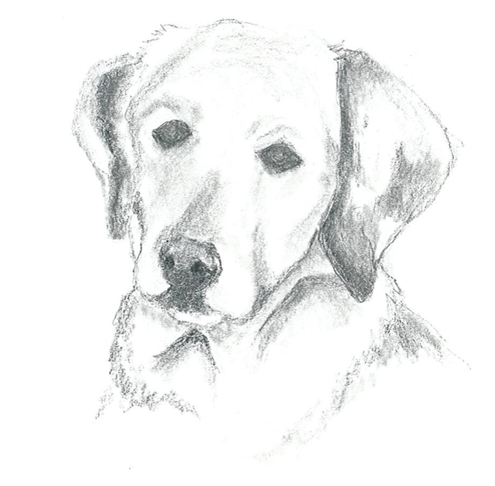Zenas