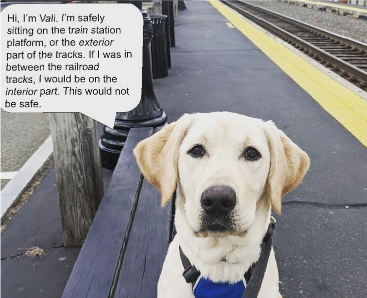 Vali at train tracks Vali at train tracks