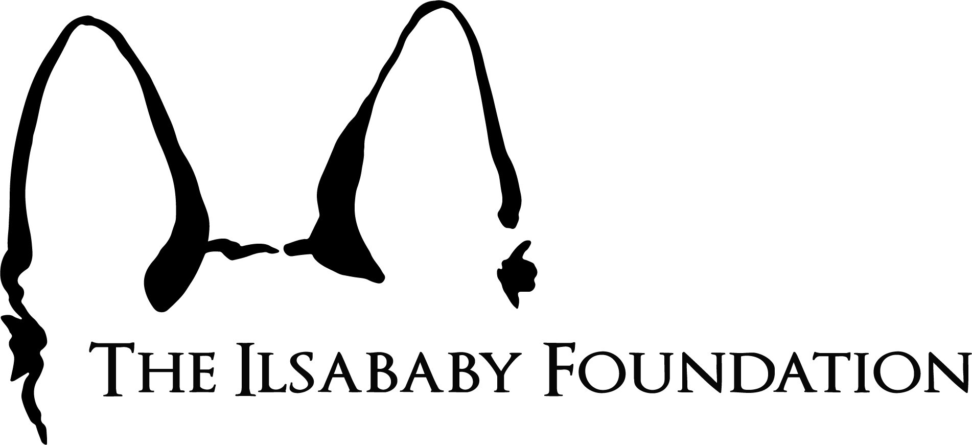 ilsababy foundation