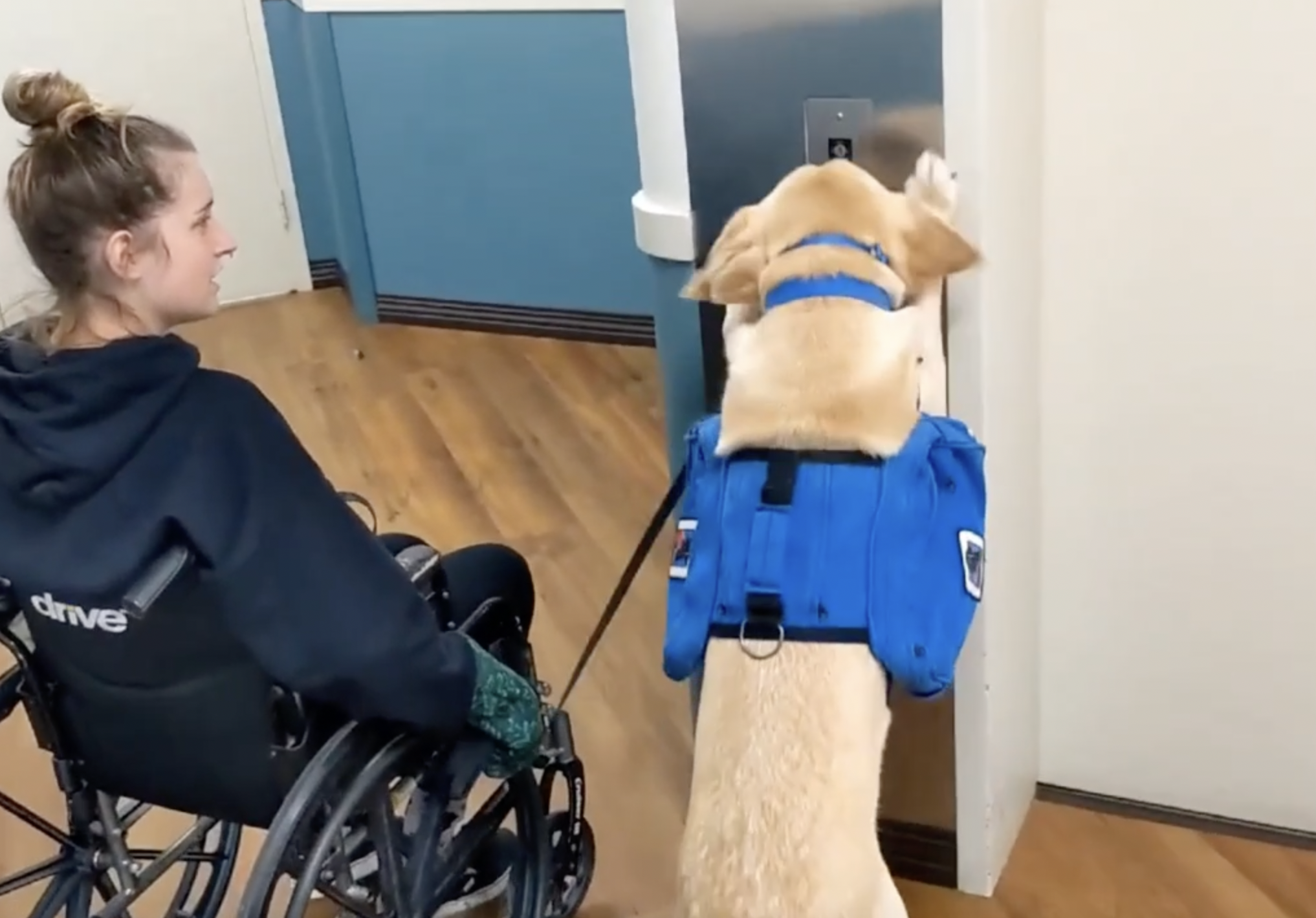 Leah-Buckley wheelchair experience