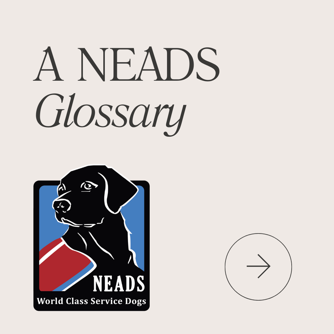 NEADS glossary
