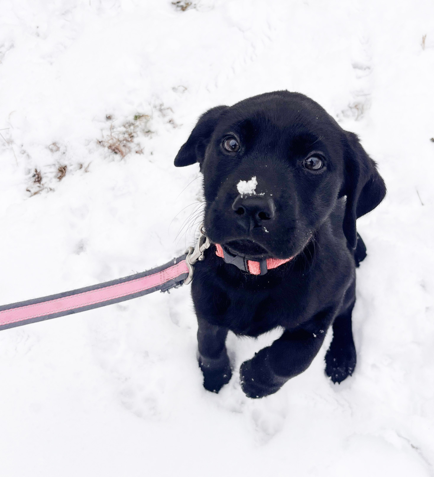 Winter Fundraising