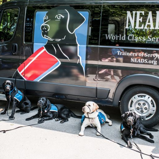 NEADS new van. (Photo: Kristin Chalmers Photography)