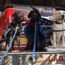 Gabriel in middle at Framingham Fire Station