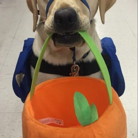 I am ready for Halloween