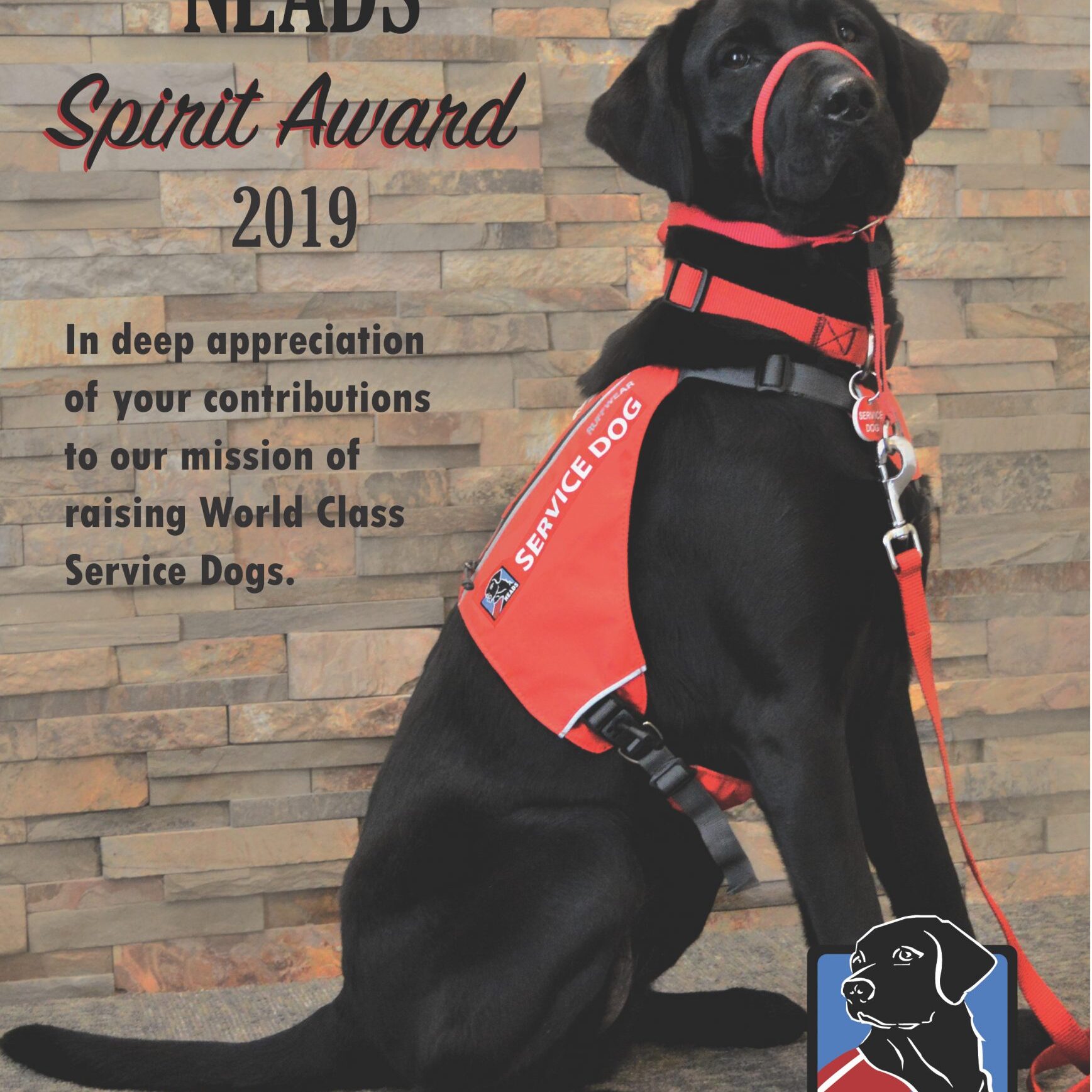 Spirit Award_2019