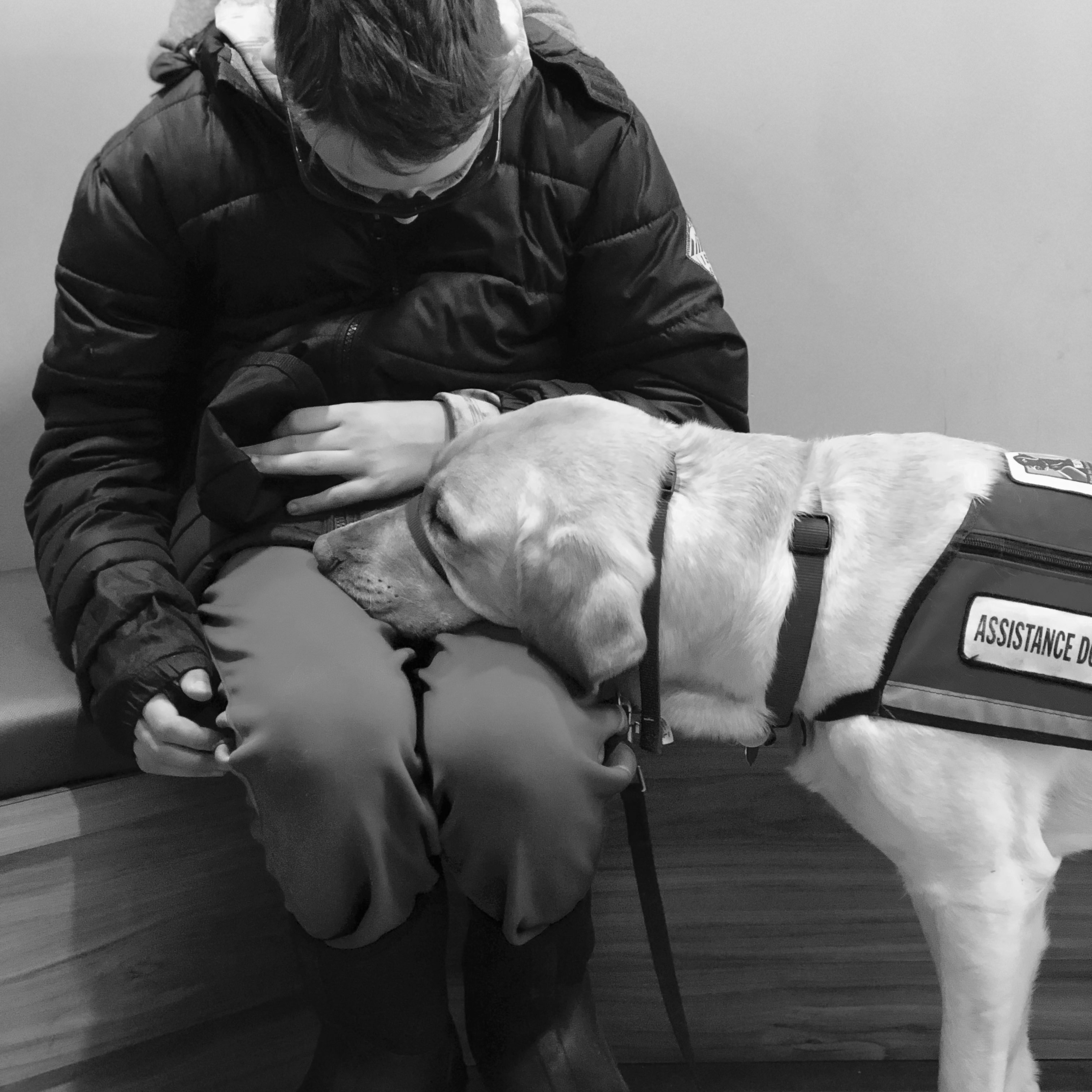 Children with Autism - NEADS World Class Service Dogs