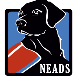 neads-1